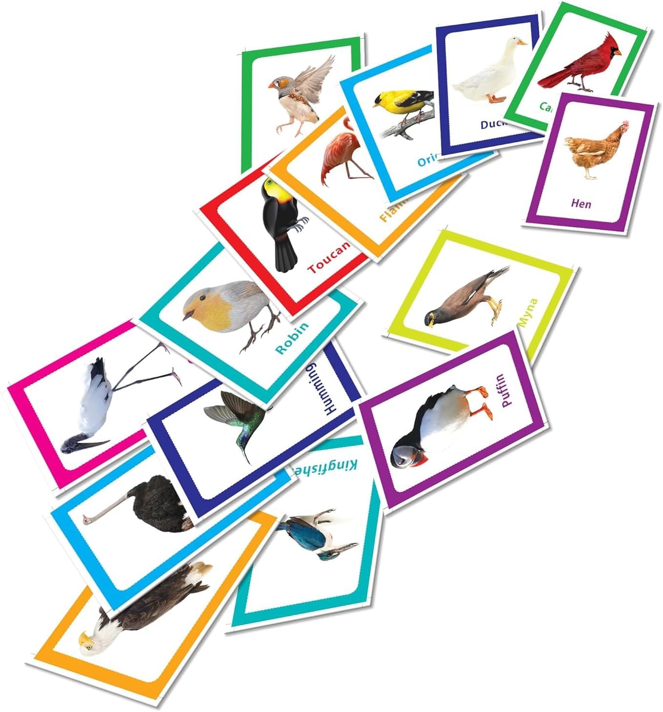 32 بطاقة تعليمية لمرحلة ما قبل المدرسة بموضوعات الطيور للأولاد والبنات