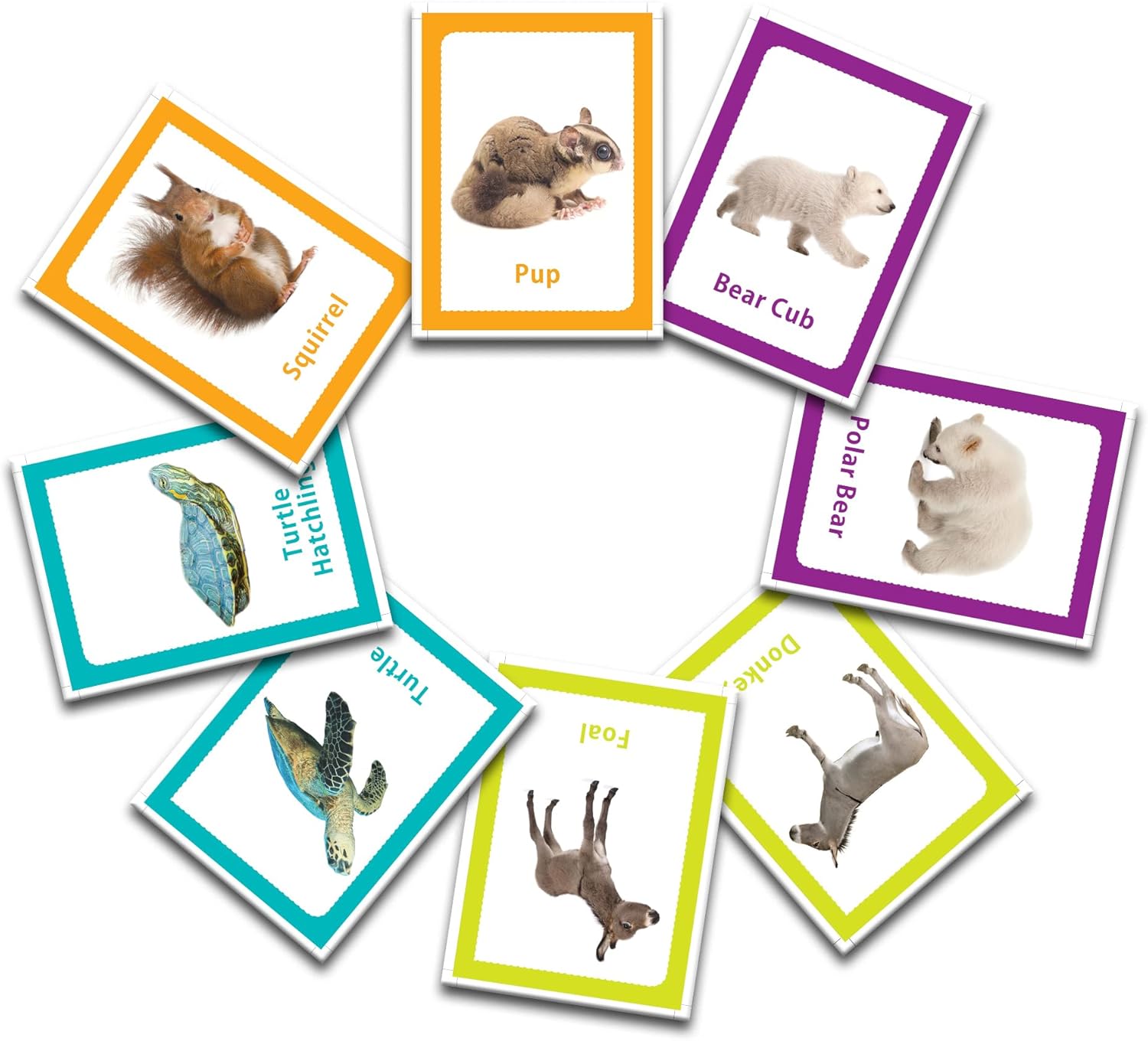 الحيوانات - بطاقات تعليمية للأطفال