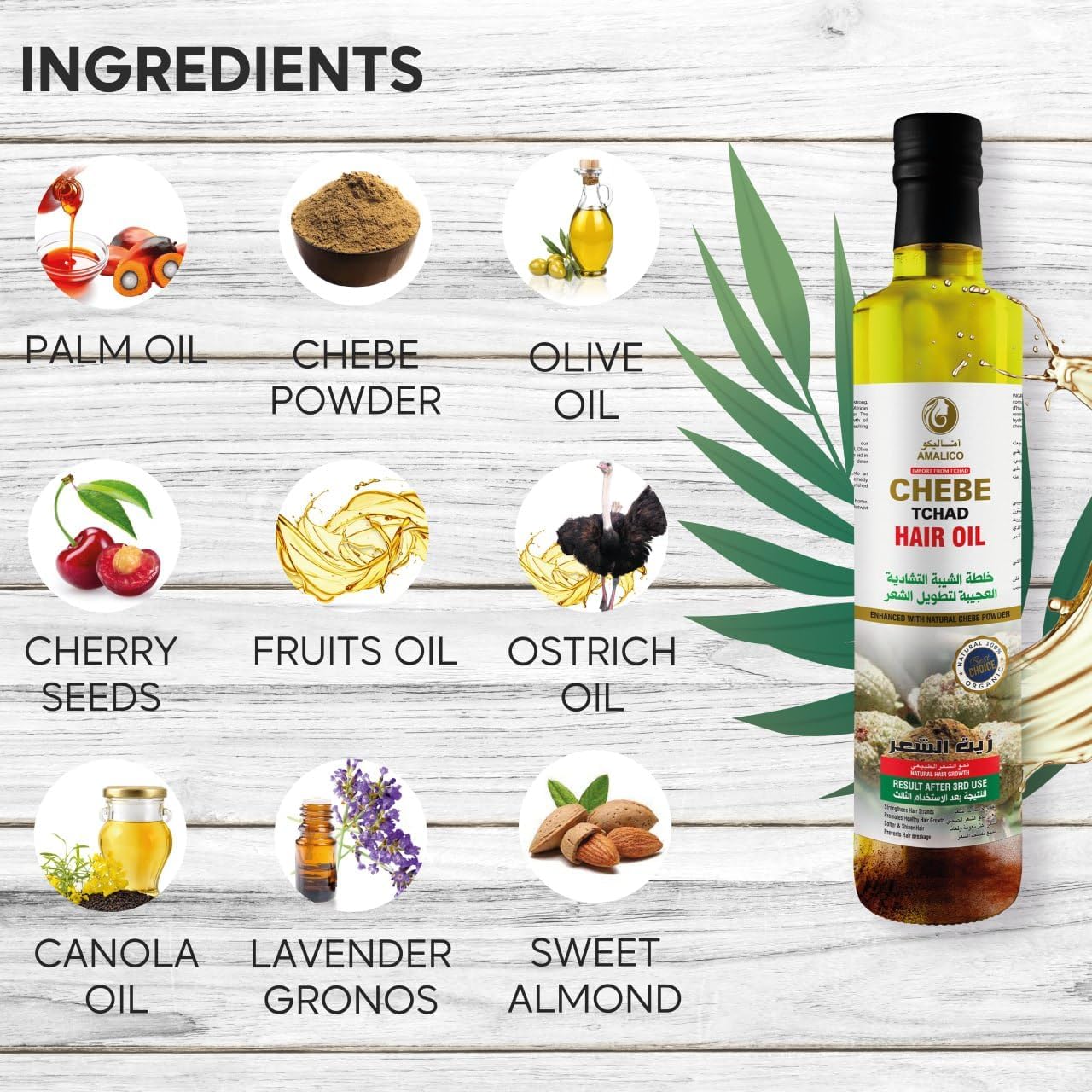 AMALICO Oil for Hair Growth with Chebe Powder - Ready to use Organic Oil for Scalp and Dry Damaged Hair - Natural Oil Infused with Canola, Palm, Ostrich and Olive Oil - 250 ML