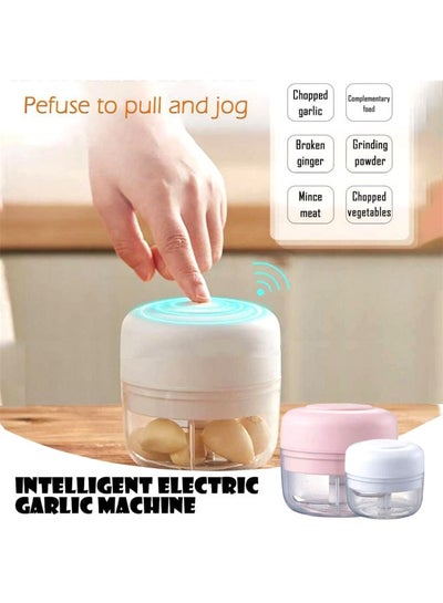 Electric Mini Food Chopper And Grinder 250.0 ml FS01 White