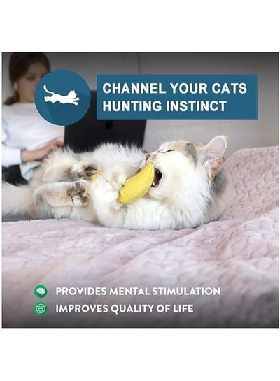 Catnip Filled Banana Toy for Cats