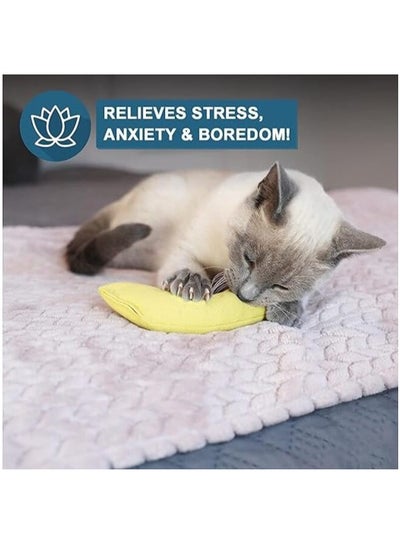Catnip Filled Banana Toy for Cats