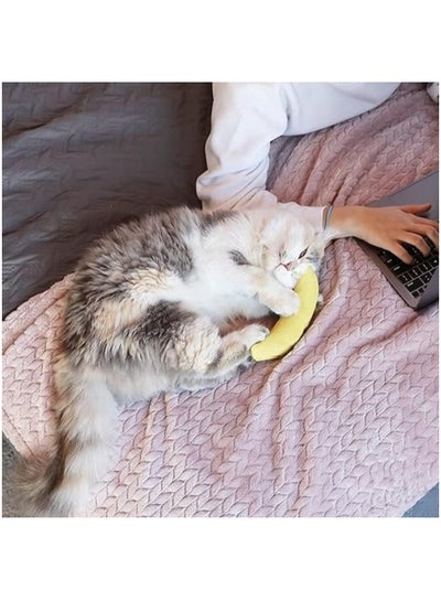 Catnip Filled Banana Toy for Cats