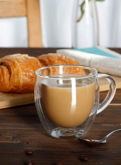 4-Piece Insulated Double wall Glass Tea Cup Set