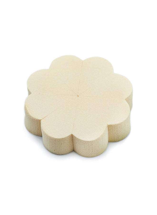 إسفنجة دمج المكياج CT654