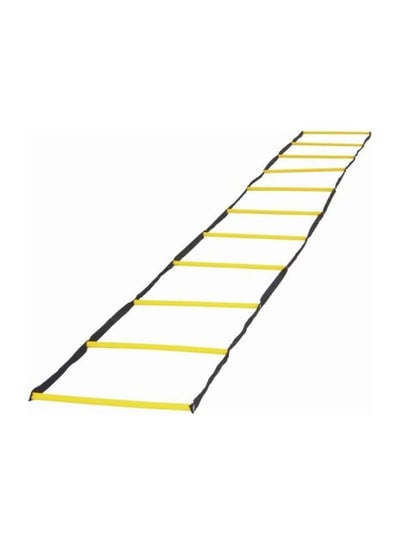 Speed Agility Ladder
