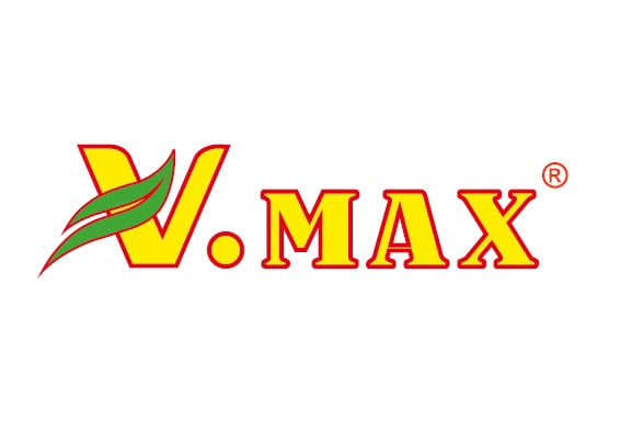 V.MAX Lighting