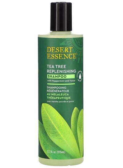 Tea Tree Structure Renewal Shampoo  12.7 fl oz (375 ml)