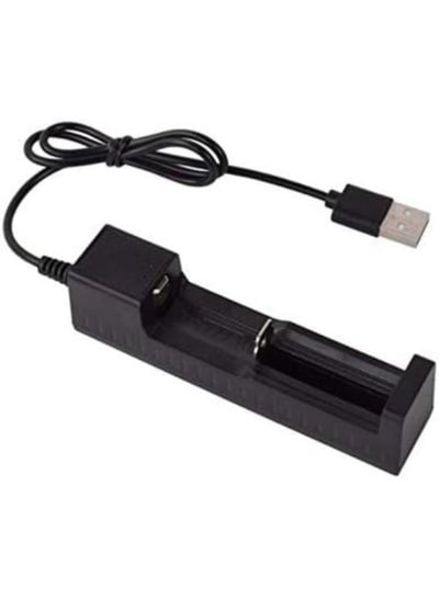 Lithium Battery USB Charger