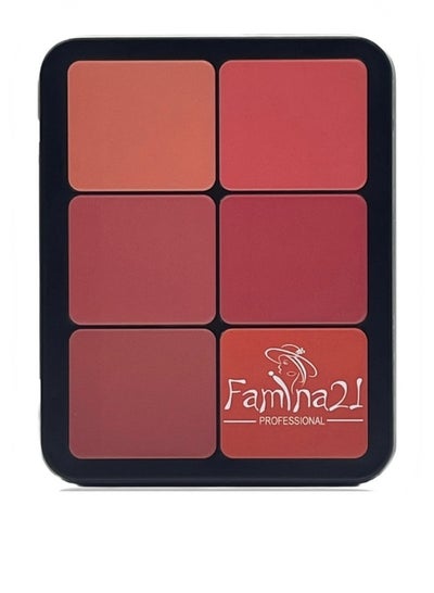 FAMINA21, 12 Color Contour-Blusher Powder Palette, Face  Makeup, All Skin Type