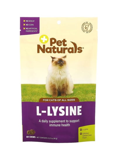 L-Lysine For Cats All Sizes Chicken Liver 250 mg 60 Chews 3.17 oz 90 g