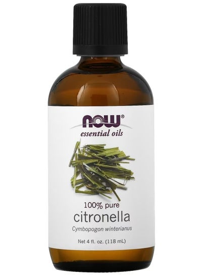 NOW Foods Essential Oils Citronella 4 fl oz 118 ml
