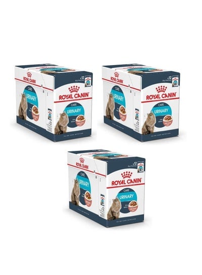 Royal Canin Fcn Urinary Care Wet Food Pouches Pack of 12 x 85 g for Cat Breeds Nutrition 3 Packs