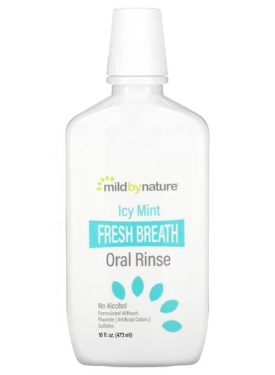 Mouthwash for Fresh Breath Free Ice Mint 16 fl oz 16 fl oz