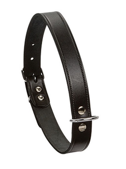 Bz Leather Collar Black 32X10
