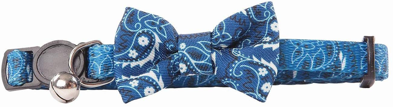 Pawise Cat collar w/Bowknot—blue