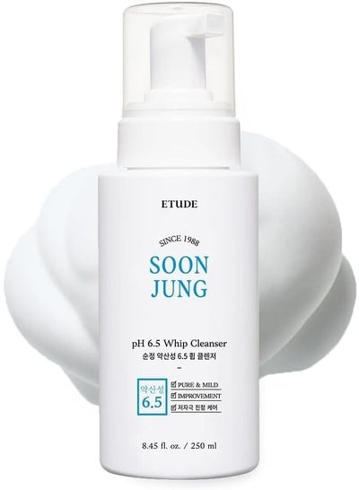 Etude Sunjong pH 6.5 Facial Cleanser 8 fl oz 250 ml 21AD Soft Bubble Moisturizing Facial Cleanser Non-comedogenic & Hypoallergenic