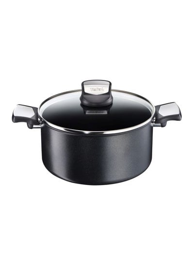 Expertise Induction Stewpot With Lid Black/Clear 24cm