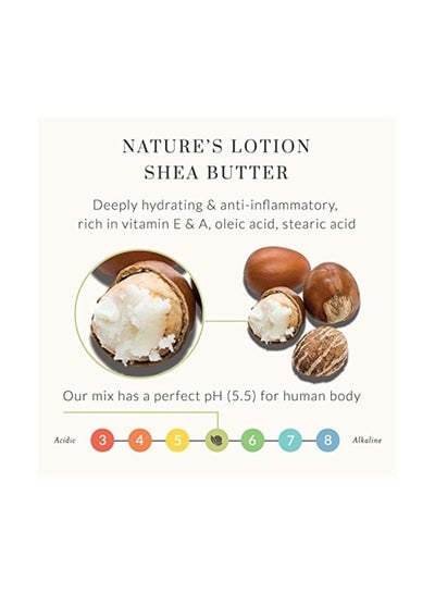 Shea Butter Body Lotion