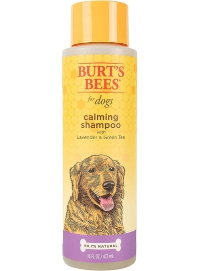 Calming Shampoo for Dogs with Lavender & Green Tea 16 fl oz 473 ml