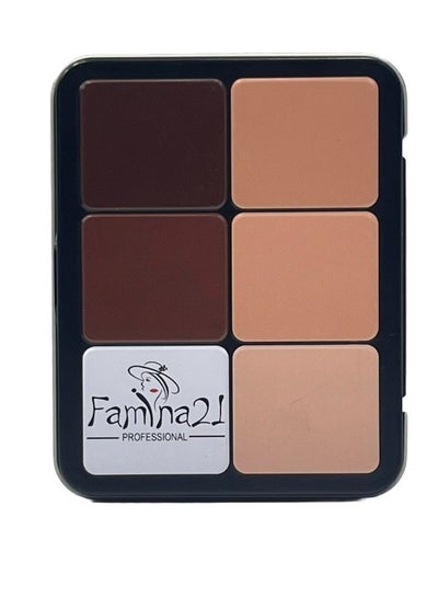 FAMINA21, 12 Color Contour-Blusher Cream Palette, Face Makeup , All Skin Type