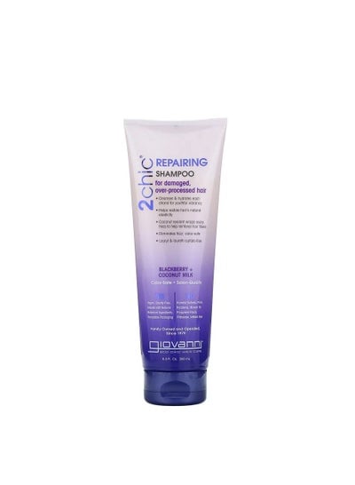Damage Repair Shampoo for Damaged and Over-processed Hair with Blackberry and Coconut Milk, 8.5 fl oz 250 ml