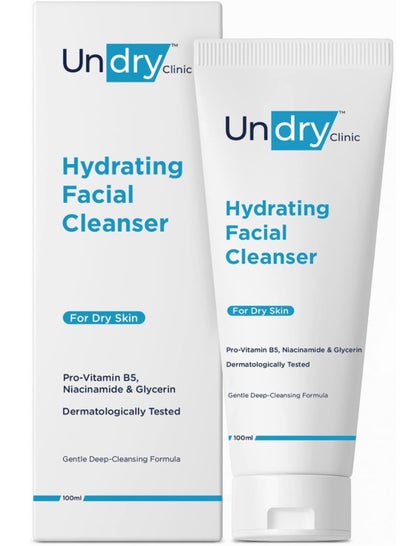 Undry Hydrating Facial Cleanser for Dry Skin (100 ml) Gentle Deep-Cleansing Facewash Cleanser for Face, Non-Drying Face Wash for Women & Men Face Wash...