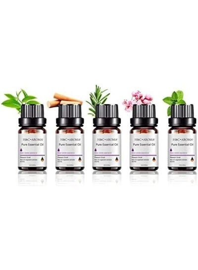 5 Pieces 10ml Bottles of Scented Essential Oils for Air Humidifier Revitalizer