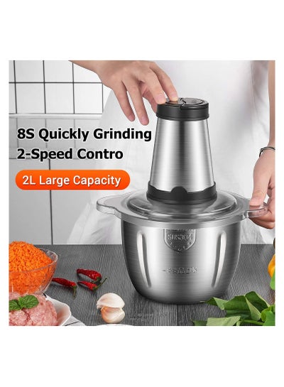 Electric Meat Chopper and Grinder, Stainless Steel Food Processor for Vegetable and Fruits 2L