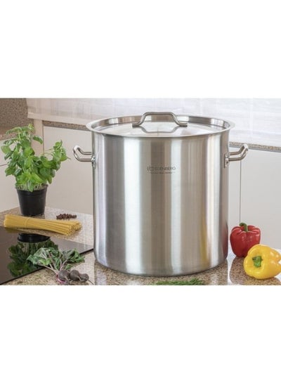 EDENBERG Big Stock Pot | Healthy Cookware Pot | Commercial Grade Large Stockpot | Non-Toxic, Non-Allergic Cookware- Silver, 50.3 L