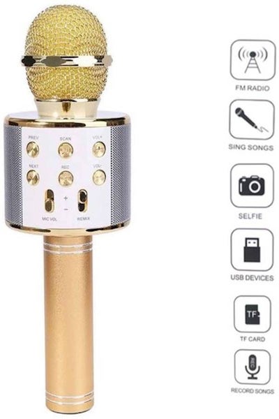 Wireless Bluetooth Karaoke Microphone MP-045 Gold/White