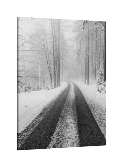 Ice Rode Printed Framed Canvas Wall Art White/Grey 60x80centimeter