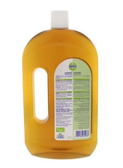 Anti-Bacterial Antiseptic Disinfectant Liquid, Pack Of 2 Green/Brown 1L