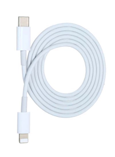 Type-C To Lightning Magnetic Data Sync And Charging Cable White/Silver