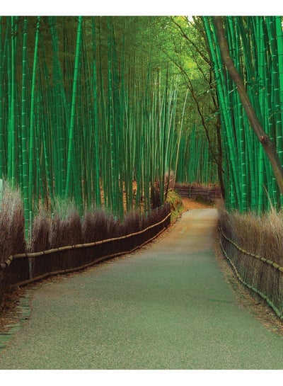 Bamboo Path Wall Art Framed Canvas Painting Multicolour 50x40cm