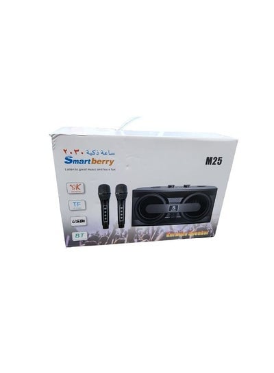 Smart Berry M25 Karaoke Speaker Bluetooth Wireless Mic Black