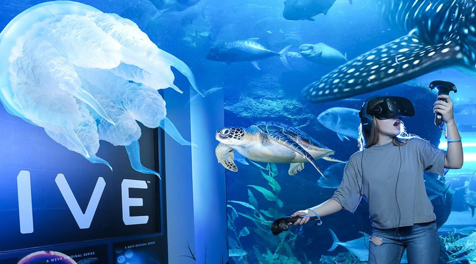 Dubai Ice Rink with Dubai mall Aquarium & Underwater Zoo